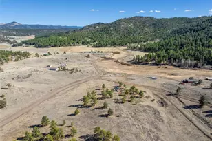 11 Valley Cir, Guffey, CO 80820 - Photo 37
