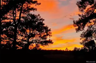 11 Valley Cir, Guffey, CO 80820 - Photo 19