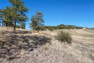 11 Valley Cir, Guffey, CO 80820 - Photo 25