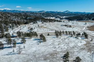 11 Valley Cir, Guffey, CO 80820 - Photo 25