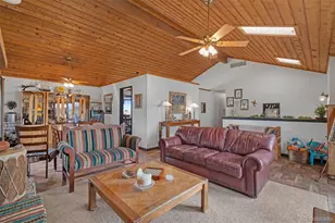 847 Pinewicket Way, Parker, CO 80138 - Photo 9