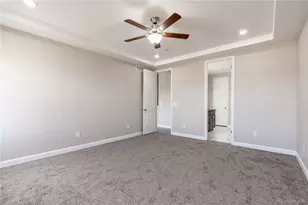 7265 Alpine Daisy Dr, Colorado Springs, CO 80925 - Photo 13