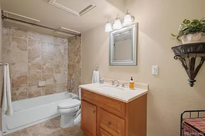 12136 S Grass River Court, Parker, CO 80134 - Photo 29