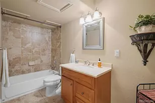 12136 S Grass River Ct, Parker, CO 80134 - Photo 29