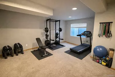 469 Stellars Jay Drive, Highlands Ranch, CO 80129 - Photo 27