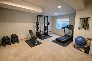 469 Stellars Jay Dr, Highlands Ranch, CO 80129 - Photo 27