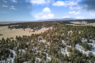 20340 Warriors Path Dr, Peyton, CO 80831 - Photo 37
