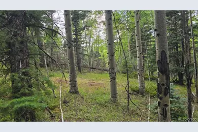 Lots 6276 & 6277 Malcolm and Shioshita Road, San Luis, CO 81152 - Photo 23