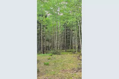 Lots 6276 & 6277 Malcolm and Shioshita Road, San Luis, CO 81152 - Photo 15
