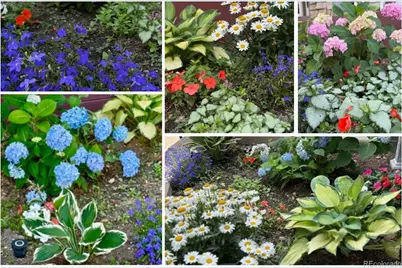 11754 W 85th Avenue, Arvada, CO 80005 - Photo 37