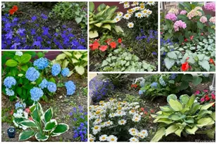 11754 W 85th Ave, Arvada, CO 80005 - Photo 37