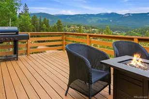 168 Wise Rd, Bailey, CO 80421 - Photo 29