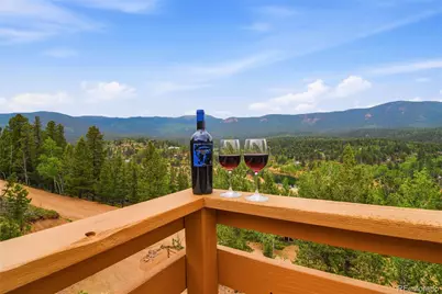 168 Wise Road, Bailey, CO 80421 - Photo 31