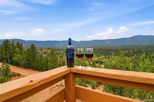 168 Wise Rd, Bailey, CO 80421 - Photo 31