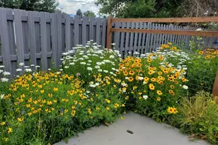 1302 I St, Salida, CO 81201 - Photo 47