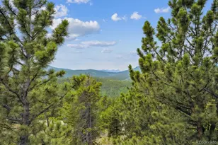 35 Pickle Pt, Black Hawk, CO 80422 - Photo 29