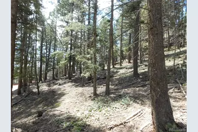 13520 Woodmoor West Drive, Larkspur, CO 80118 - Photo 31