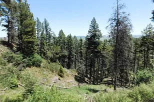 13520 Woodmoor W Dr, Larkspur, CO 80118 - Photo 1