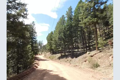 13520 Woodmoor West Drive, Larkspur, CO 80118 - Photo 33