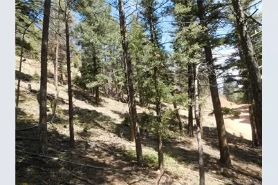 13520 Woodmoor West Drive, Larkspur, CO 80118 - Photo 29