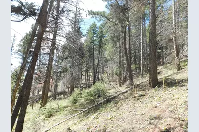 13520 Woodmoor West Drive, Larkspur, CO 80118 - Photo 25