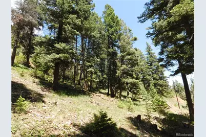 13520 Woodmoor West Drive, Larkspur, CO 80118 - Photo 35