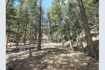 13520 Woodmoor West Drive, Larkspur, CO 80118 - Photo 15