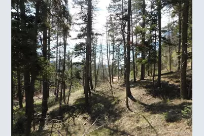 13520 Woodmoor West Drive, Larkspur, CO 80118 - Photo 19