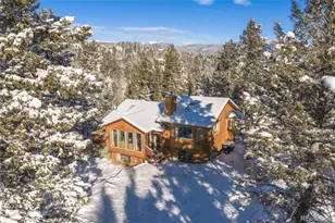 121 Iris Dr, Bailey, CO 80421 - Photo 25
