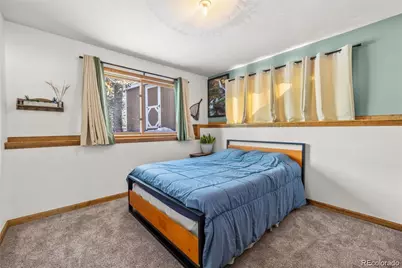 121 Iris Drive, Bailey, CO 80421 - Photo 15