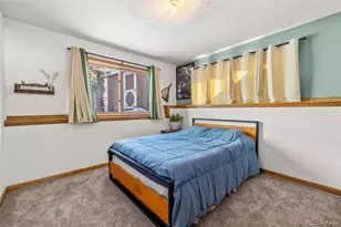 121 Iris Dr, Bailey, CO 80421 - Photo 15