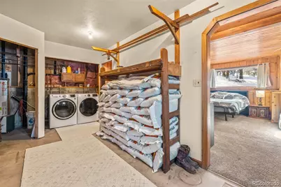 121 Iris Drive, Bailey, CO 80421 - Photo 21