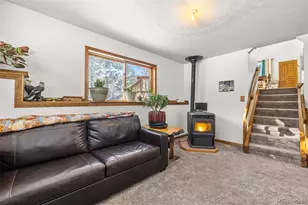 121 Iris Dr, Bailey, CO 80421 - Photo 17