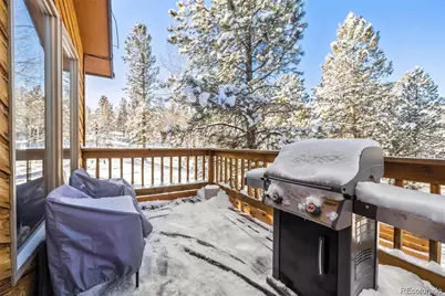 121 Iris Drive, Bailey, CO 80421 - Photo 11