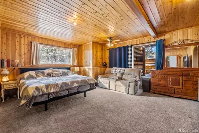 121 Iris Drive, Bailey, CO 80421 - Photo 19