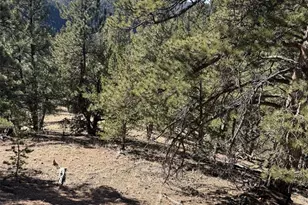 1480 Pikes Peak Dr, Divide, CO 80814 - Photo 1