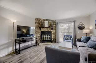 6796 S Holland Way, Littleton, CO 80128 - Photo 5