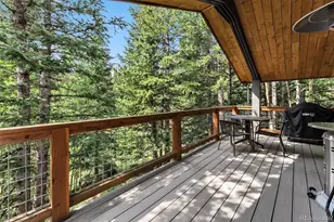 932 Peterson Dr, Alma, CO 80420 - Photo 37