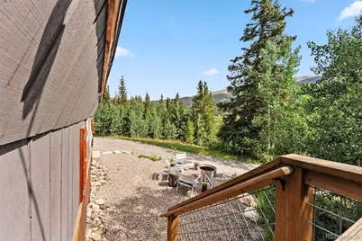 932 Peterson Drive, Alma, CO 80420 - Photo 23