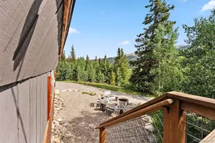 932 Peterson Dr, Alma, CO 80420 - Photo 23