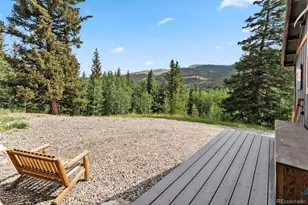 932 Peterson Dr, Alma, CO 80420 - Photo 41