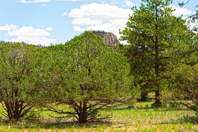 Lot 8 Big Sandy Estates, Buena Vista, CO 81211 - Photo 27