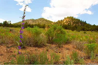 Lot 8 Big Sandy Estates, Buena Vista, CO 81211 - Photo 31