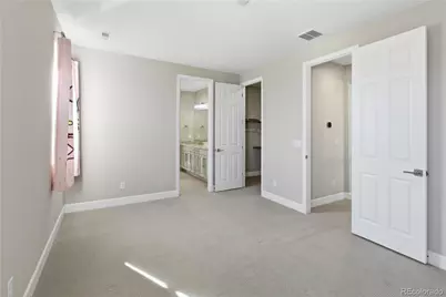 5910 Riesberg Lane, Castle Rock, CO 80104 - Photo 29