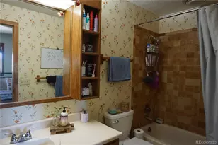 91300 Ryan Gulch Rd, Silverthorne, CO 80498 - Photo 13