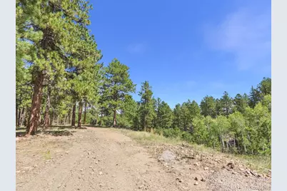 N Turkey Creek Road, Morrison, CO 80465 - Photo 5