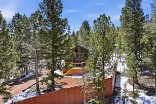 747 Trout Haven Rd, Florissant, CO 80816 - Photo 21