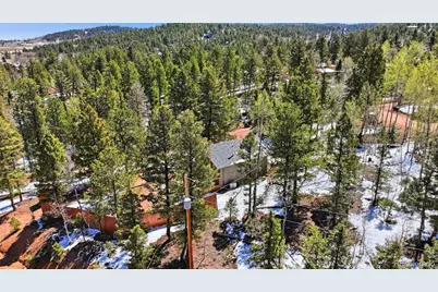 747 Trout Haven Road, Florissant, CO 80816 - Photo 9
