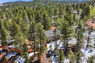 747 Trout Haven Rd, Florissant, CO 80816 - Photo 9