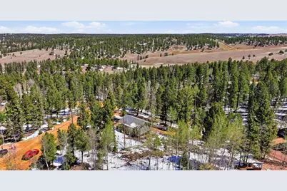 747 Trout Haven Road, Florissant, CO 80816 - Photo 13
